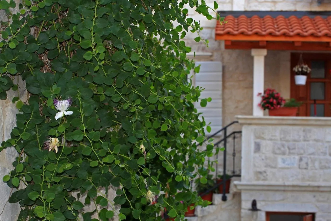 Villa Kapar - Apartment Gajeta Trogir